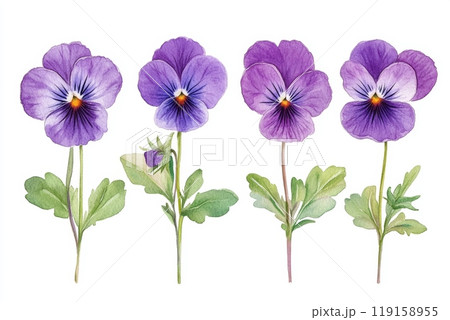 Whimsical Watercolor Pansy Flowers Illustration for Children's Book Generative AI 119158955