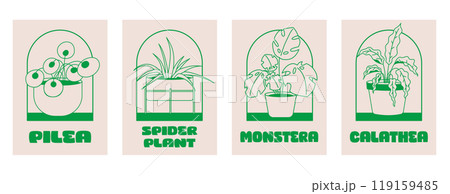 Set of posters house plants: monstera, pile a, spider plant, calathea. Outline plant in pot in retro style. 119159485