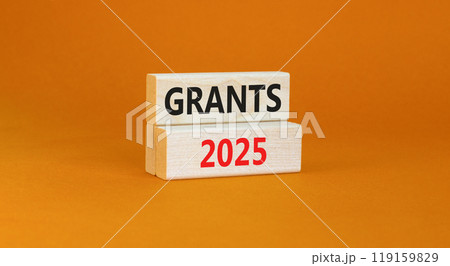 Planning grants 2025 new year symbol. Concept words Grants 2025 on beautiful wooden blocks. Beautiful orange background. Business grants 2025 new year concept. Copy space. Planning grants 2025 new year symbol. Concept words Grants 2025 on beautiful wooden blocks. Beautiful orange background. Business grants 2025 new year concept. Copy space. 119159829