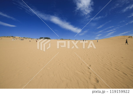鳥取県鳥取市　鳥取砂丘 119159922