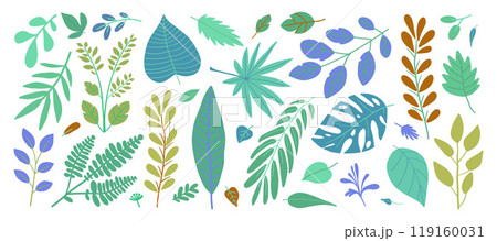 colorful vector summer tropical leaves branches 119160031