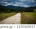 bright path through the landscape to the rocks 119160037
