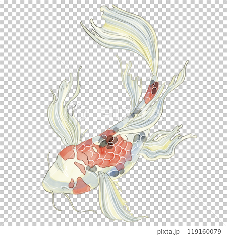 Japanese Koi fish, top view. Watercolor illustration of a decorative carp in pastel colors. For printing on dishes, postcards, notebooks or horoscopes. Registration of aquarium fish products and feeds Japanese Koi fish, top view. Watercolor illustration of a decorative carp in pastel colors. For printing on dishes, postcards, notebooks or horoscopes. Registration of aquarium fish products and feeds 119160079