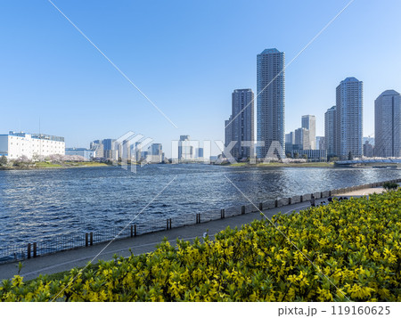 隅田川・晴海運河沿いのビル・タワーマンション群 / Tokyo, Japan 隅田川・晴海運河沿いのビル・タワーマンション群 / Tokyo, Japan 119160625