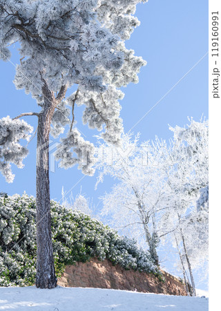 Park in the top of the mountain in winter Park in the top of the mountain in winter 119160991