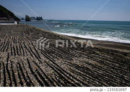 日高沿岸の昆布干し風景 日高沿岸の昆布干し風景 119161697