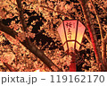 和歌山城桜まつりの提灯 119162170