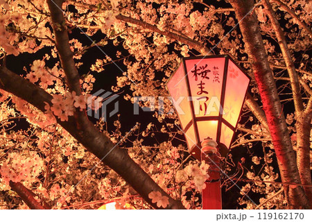 和歌山城桜まつりの提灯 119162170
