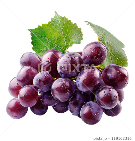 Fresh Harvest of Deep Purple Grapes and Green Leaf 119162316