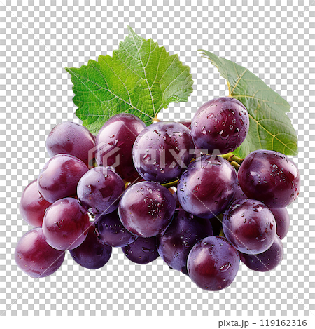 Fresh Harvest of Deep Purple Grapes and Green Leaf 119162316