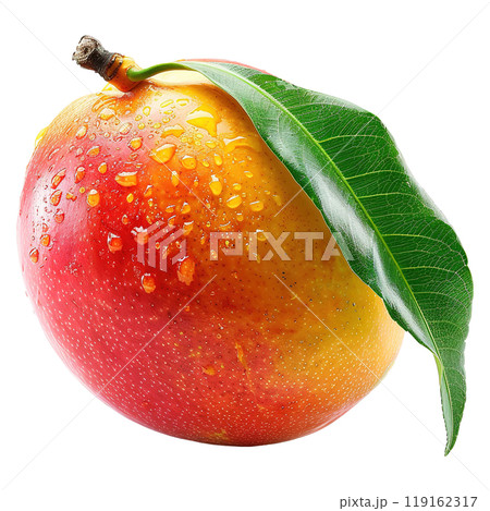 Succulent Ripe Mango with Moist Surface and Vibrant Green Leaf 119162317