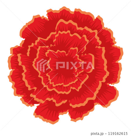 Close-up of vibrant marigold flower illustration, Vector 119162615