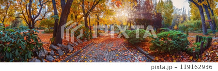 Serene Autumn Pathway in Sunlit Park 119162936