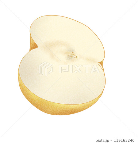 和梨の断面のイラスト素材 119163240