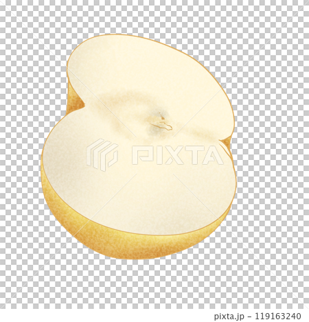 和梨の断面のイラスト素材 119163240