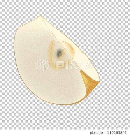 日本梨橫切面插圖素材 119163241