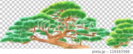 Pastel painted pine tree 119163566