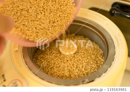 かくはん式家庭用精米機 119163981