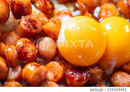料理　ごはん　ウィンナー丼 119164482