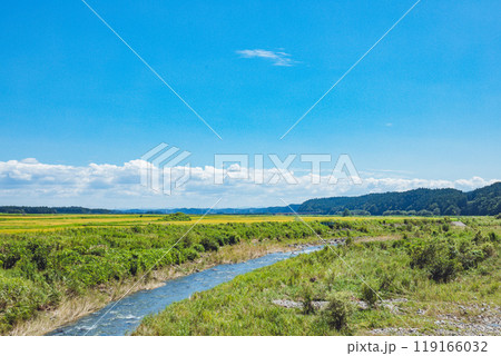 川が見える風景 119166032