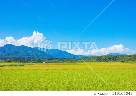 青空と田園風景 青空と田園風景 119166045