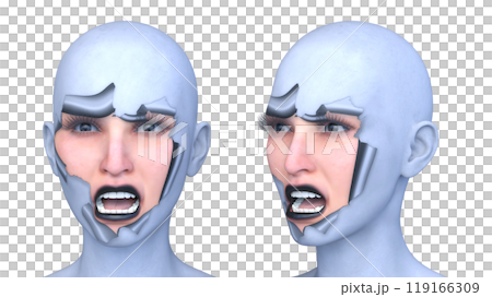 女人的臉的特寫 119166309