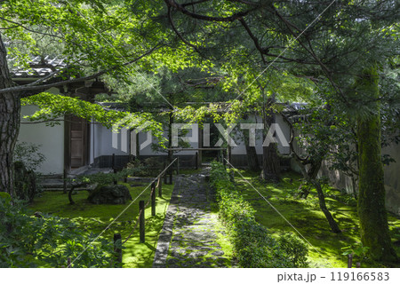 妙心寺塔頭　桂春院　入口の庭　 119166583