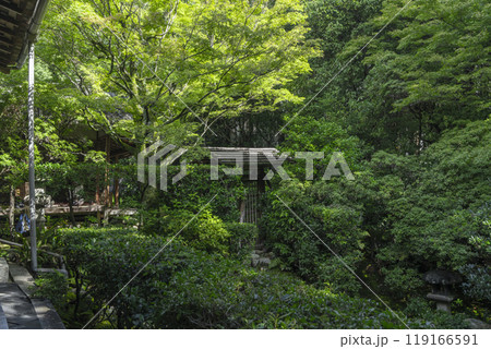 妙心寺塔頭　桂春院　方丈と思惟の庭 119166591