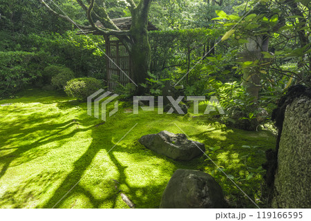 妙心寺塔頭 桂春院 侘の庭 妙心寺塔頭 桂春院 侘の庭 119166595