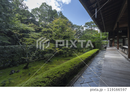 妙心寺塔頭 桂春院 方丈と思惟の庭 妙心寺塔頭 桂春院 方丈と思惟の庭 119166597