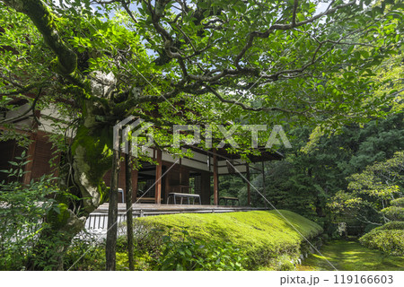 妙心寺塔頭　桂春院　真如の庭から見える方丈 119166603