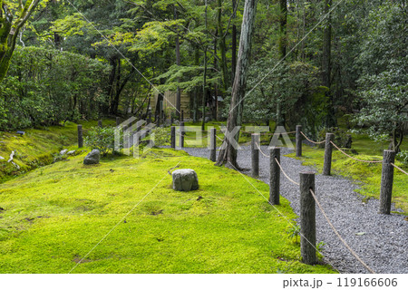 妙心寺塔頭 桂春院 真如の庭の奥に広がる苔庭 妙心寺塔頭 桂春院 真如の庭の奥に広がる苔庭 119166606