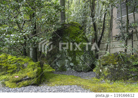 妙心寺塔頭 桂春院 真如の庭の奥に広がる苔庭 妙心寺塔頭 桂春院 真如の庭の奥に広がる苔庭 119166612