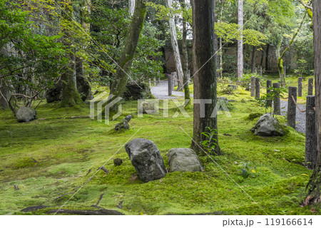 妙心寺塔頭　桂春院　真如の庭の奥に広がる苔庭 119166614