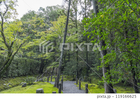 妙心寺塔頭　桂春院　苑路を散策 119166625