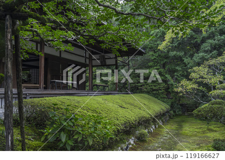 妙心寺塔頭 桂春院 真如の庭と方丈 妙心寺塔頭 桂春院 真如の庭と方丈 119166627