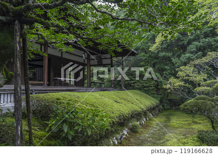 妙心寺塔頭　桂春院　真如の庭と方丈 119166628