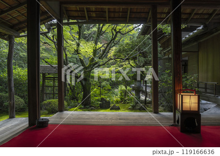 妙心寺塔頭　桂春院　書院から眺める侘の庭 119166636