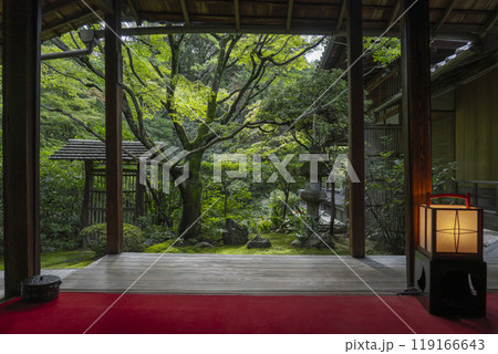 妙心寺塔頭 桂春院 書院から眺める侘の庭 妙心寺塔頭 桂春院 書院から眺める侘の庭 119166643