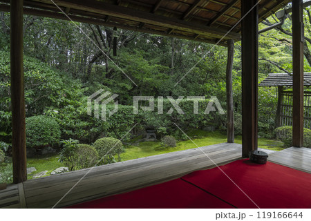 妙心寺塔頭 桂春院 書院から眺める侘の庭 妙心寺塔頭 桂春院 書院から眺める侘の庭 119166644