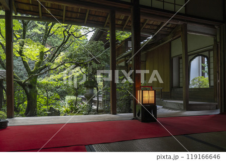 妙心寺塔頭 桂春院 書院から眺める侘の庭 妙心寺塔頭 桂春院 書院から眺める侘の庭 119166646