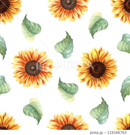 Watercolor seamless pattern with yellow sunflowers blooms and leaves. Hand drawn repeat pattern isolated on white background for wrapping wallpaper fabric textile 119166763