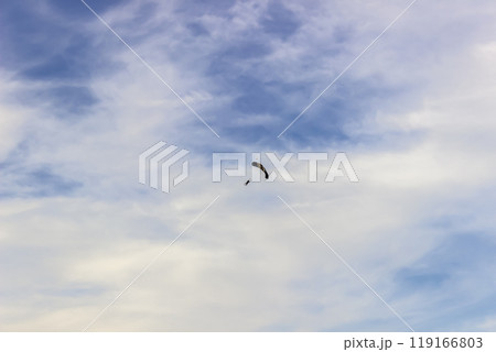 Paraglider in the sky 119166803