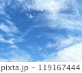 たくさんの龍に見えた上空 119167444