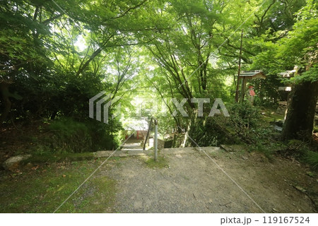 金蔵寺 金蔵寺 119167524