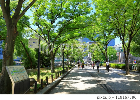 大阪市役所ケヤキ並木通り みおつくしプロムナード 大阪市役所ケヤキ並木通り みおつくしプロムナード 119167590