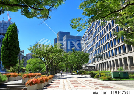 大阪市役所ケヤキ並木通り みおつくしプロムナード 大阪市役所ケヤキ並木通り みおつくしプロムナード 119167591