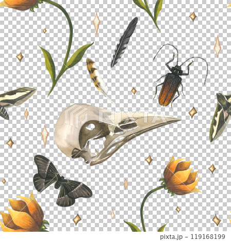 Skulls of a raven, butterfly, moth, beetle, bird feathers and flower. Seamless pattern watercolor illustration. Hand drawn, isolated on a white background 119168199