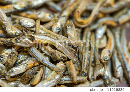 小魚 煮干し 小魚 煮干し 119168264