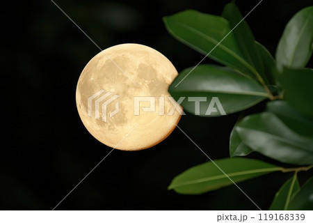 Celestial devotion: Sharad Purnima's full moon celebration, ancient rituals, modern observances, divine worship, cultural customs, festive spirit of Kojagari Purnima diverse regions, traditions. Celestial devotion: Sharad Purnima's full moon celebration, ancient rituals, modern observances, divine worship, cultural customs, festive spirit of Kojagari Purnima diverse regions, traditions. 119168339
